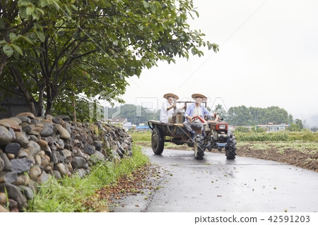 生活,老夫妻,韓國人 生活,老夫妻,韓國人 42591203