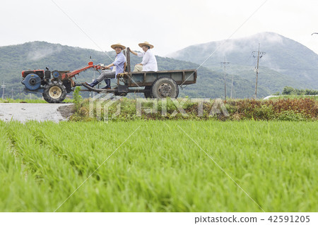 生活，老夫妻，韓國人 42591205