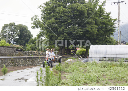 生活，老夫妻，韓國人 42591212