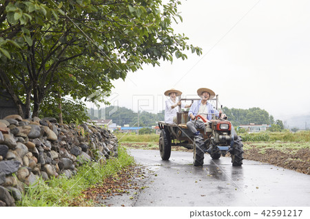 生活，老夫妻，韓國人 42591217