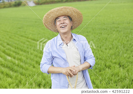 Life, old man, man, Korean Life, old man, man, Korean 42591222