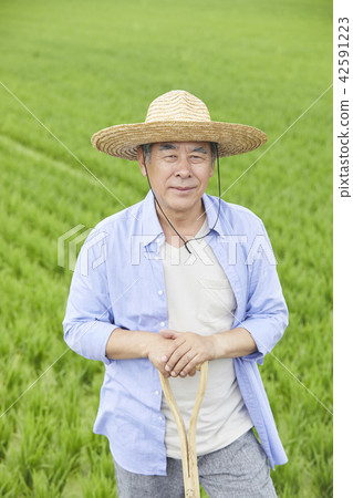 生活,老頭,男人,韓國人 生活,老頭,男人,韓國人 42591223