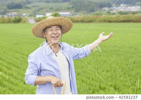 生活,老頭,男人,韓國人 生活,老頭,男人,韓國人 42591237