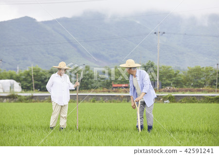 Life, old couple, Korean 42591241