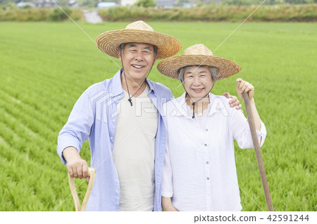 生活,老夫妻,韓國人 生活,老夫妻,韓國人 42591244