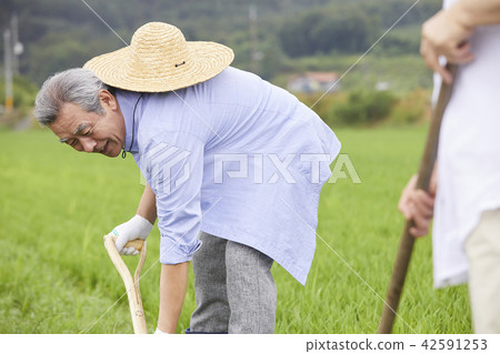 生活，老夫妻，韓國人 42591253