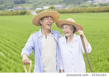 生活,老夫妻,韓國人 生活,老夫妻,韓國人 42591263