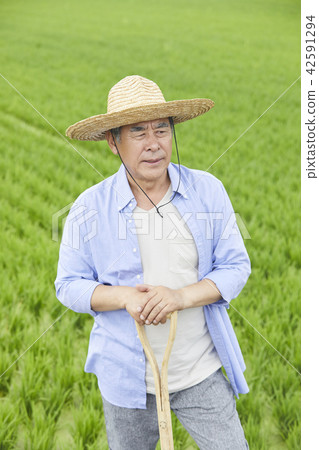 Life, old man, man, Korean 42591294