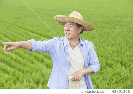 生活，老頭，男人，韓國人 42591296