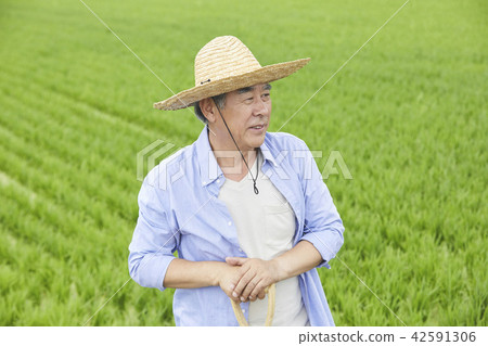 生活,老頭,男人,韓國人 生活,老頭,男人,韓國人 42591306