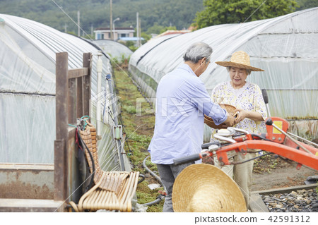 Life, old couple, Korean 42591312