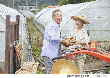 生活，老夫妻，韓國人 42591314