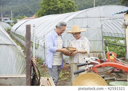 生活，老夫妻，韓國人 42591321