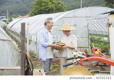 生活，老夫妻，韓國人 42591325