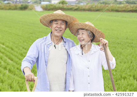 Life, old couple, Korean 42591327