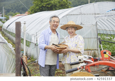 Life, old couple, Korean 42591337