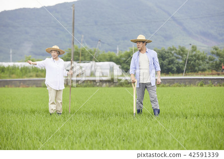 Life, old couple, Korean 42591339