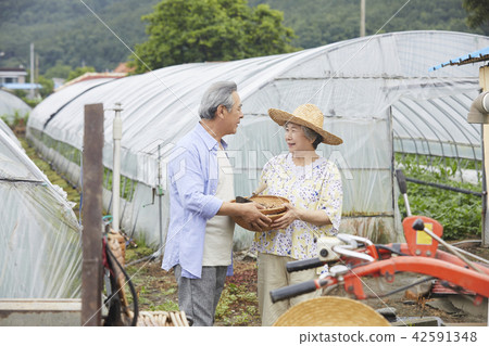 生活,老夫妻,韓國人 生活,老夫妻,韓國人 42591348