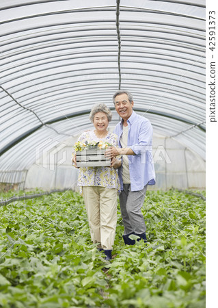 生活，老夫妻，韓國人 42591373