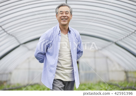 生活，老頭，男人，韓國人 42591396