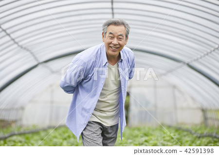 生活，老頭，男人，韓國人 42591398