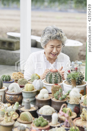 Life, Elderly, Female, Korean 42591439