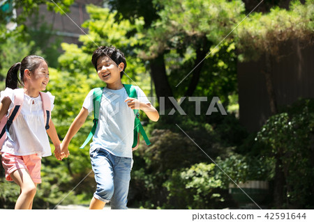 Elementary school students, lower grades, school study lifestyle 42591644