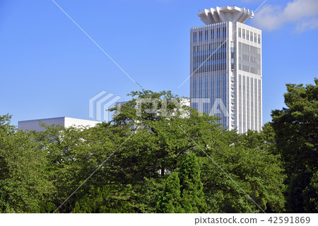 橫須賀[夏季]從Verny Park看的摩天大樓 42591869
