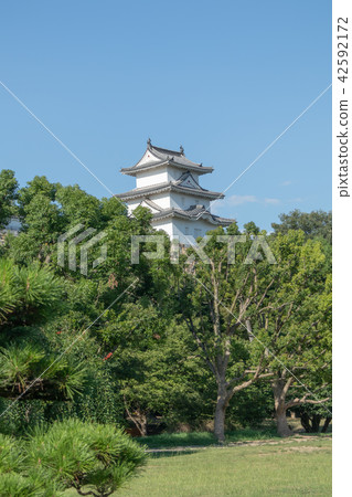 明石城堡的槳 明石城堡的槳 42592172