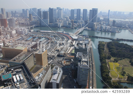 Tsukiji風景在中央區,東京 Tsukiji風景在中央區,東京 42593289