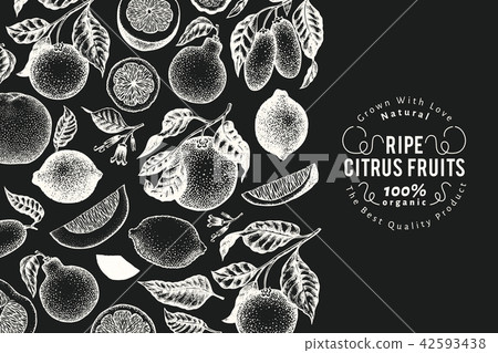 Citrus fruits banner template. Hand drawn vector fruit illustration on chalk board. Engraved style Citrus fruits banner template. Hand drawn vector fruit illustration on chalk board. Engraved style 42593438