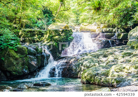 亞洲台灣中國森林滿月圓國家森林遊樂區遊樂園戶外野外香菇生物昆蟲蝴蝶毛毛蟲蘑菇瀑布仙女瀑布滿月圓瀑布 42594339