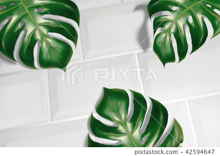 Tropical leaves on white tiles 42594647