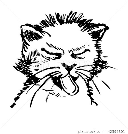 Little cat hand drawn 42594801