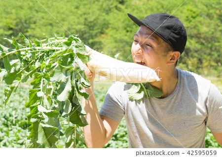蘿蔔的收穫 蘿蔔的收穫 42595059