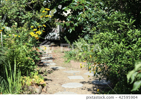 與庭院鋪路石和植物的一個風景 42595904