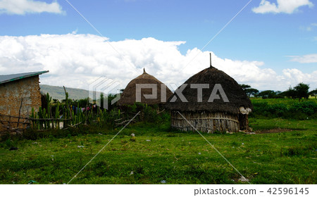 Village of hamar tribe, Turmi Ethiopia 42596145