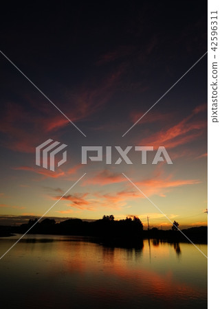 灌溉池塘晚上風景 灌溉池塘晚上風景 42596311