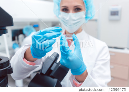 Scientist in laboratory showing dish with fertilized egg cell Scientist in laboratory showing dish with fertilized egg cell 42596475