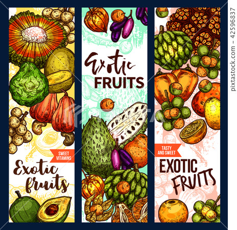 Vector banners of exotic fruits sketch Vector banners of exotic fruits sketch 42596837