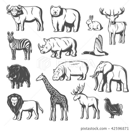 Vector wild animals and birds icons Vector wild animals and birds icons 42596871