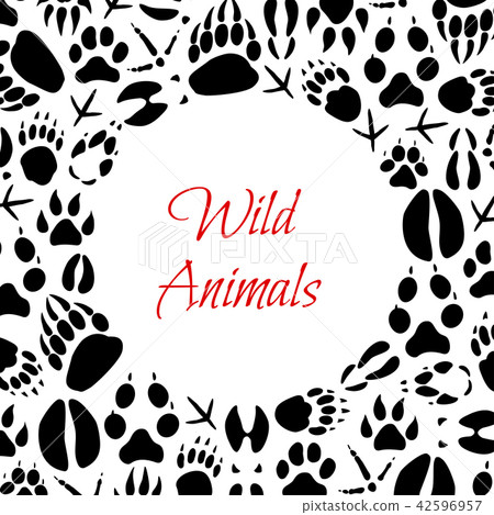 Vector wild animals footprints poster Vector wild animals footprints poster 42596957