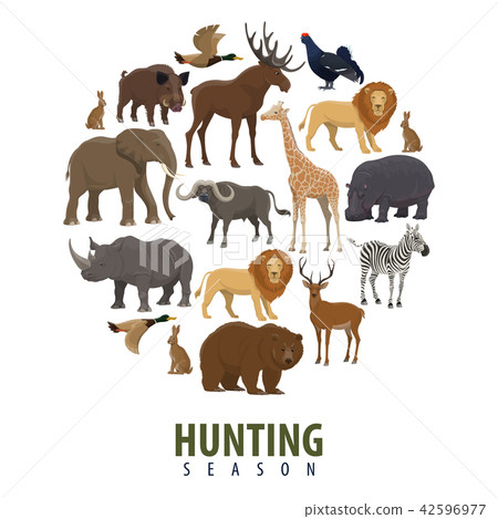 Vector hunting season poster of wild animals Vector hunting season poster of wild animals 42596977