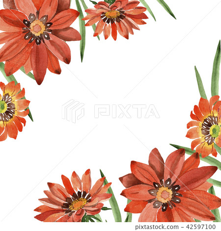 Watercolor orange gazania flowers. Floral botanical flower. Frame border ornament square. 42597100