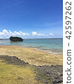 Okinawa's summer 42597262