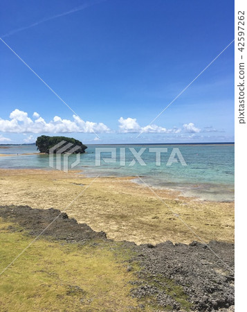 Okinawa's summer Okinawa's summer 42597262