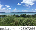 Summer Sea 42597266