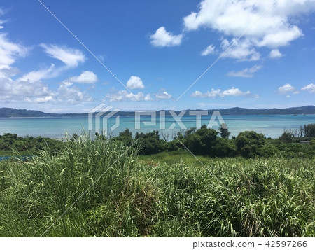 夏天的海 夏天的海 42597266