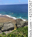 The seaside of Okinawa 42597267