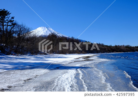 富士山·山中湖的風景 富士山·山中湖的風景 42597395